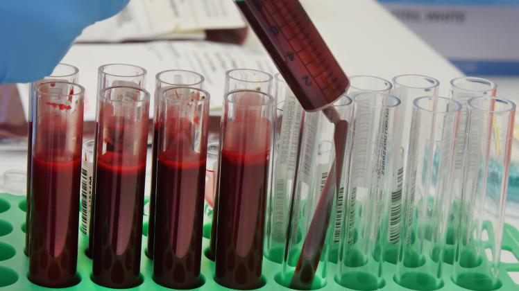 Aufruf zu Blut-und Plasmaspenden zum Weltblutspendetag