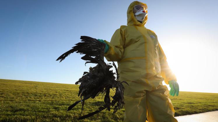 Kampf gegen Vogelgrippe