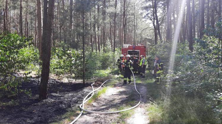 In einem Waldgebiet nördlich von Börger kam es am Mittwochnachmittag zu einem Waldbrand, der dank des Einsatzes der Feuerwehren Börger und Spahnharrenstätte auf 400 Quadratmeter begrenzt werden konnte. 