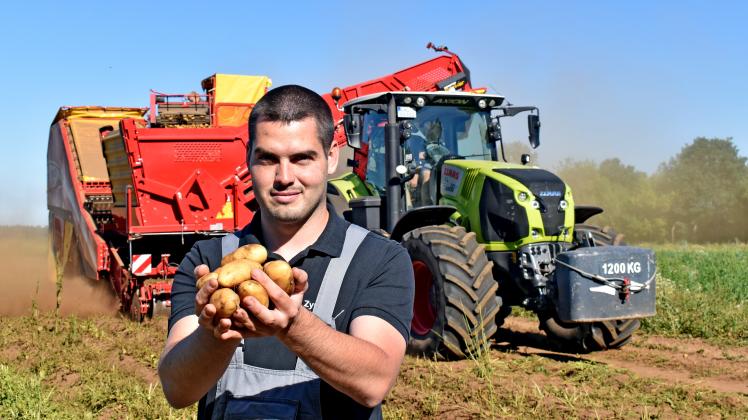 Die Ausbeute kann sich sehen lassen. Landwirt Erik Steinhauer ist zufrieden mit der ersten Kartoffelernte. Gut 15 Tonnen werden am ersten Tag mit der großen Maschine aus der Erde geholt. 