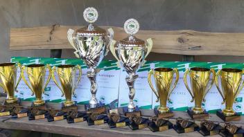 Im Fußballkreis Prignitz-Ruppin werden am Wochenende die letzten Titel und Pokale der Saison 2021/22 vergeben