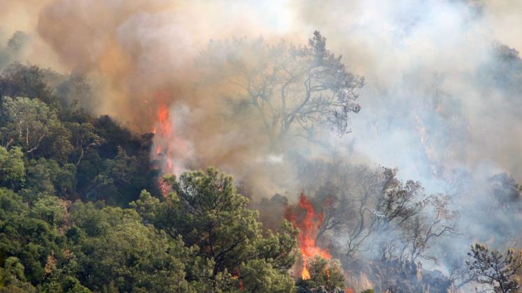 ARCHIV - Schon im vergangenem Jahr hatte es in der Urlaubsregion Marmaris im Südwesten der Türkei starke Waldbrände gegeben. Nun sind dort erneut Feuer ausgebrochen. Foto: -/XinHua/dpa