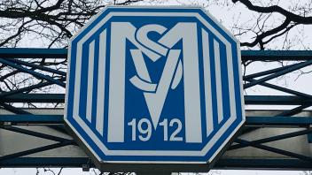 Hänsch-Arena Logo SV Meppen