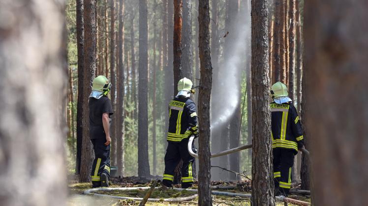 Trockenheit: Wie Sie sich bei Waldbrandgefahr richtig verhalten