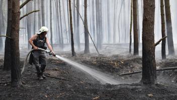 Wasser marsch: Brandschützer Norbert Schulz von der freiwilligen Feuerwehr Uelitz kämpfte sich Meter für Meter auf dem brennenden Waldboden vor, um gegen die Glutnester anzukämpfen. 
