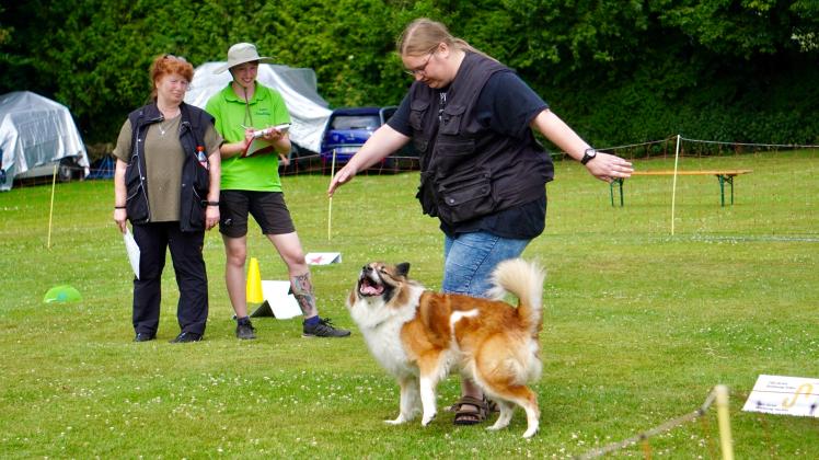  Kim Böker mit Hund Ricky macht Rally Obedience. Preisrichter bewerten.                              