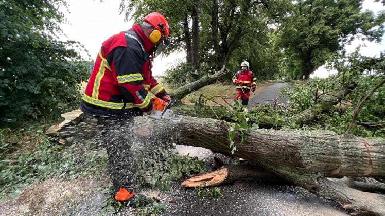 author In der Müritzregion stürzten mehrere große Bäume durch das Unwetter auf die Straßen.