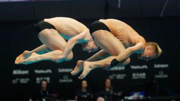Timo Barthel (r) und Lars Rüdiger holten sich in Budapest die Bronzemedaille vom Drei-Meter-Brett. Foto: Petr David Josek/AP/dpa