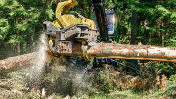 Wie geht es dem Wald? - ein Harvester verarbeitet einen gestürtzen Baum - 21.06.2022 - Foto Marcus Dewanger