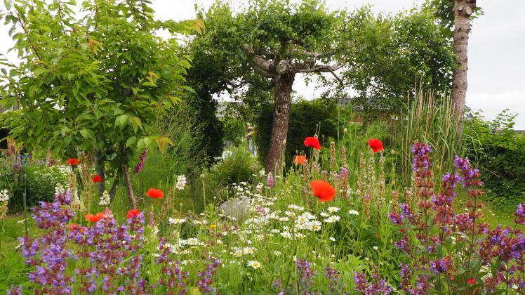 Uetersen Gartenarbeit im Oktober Das sagt ein Gärtnermeister