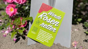 Rund 2000 Blumen aus dem Rostocker Rosengarten suchen ab September ein neues Zuhause.