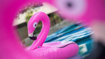 ARCHIV - So sehr der Pool-Flamingo mit seinem Aussehen überzeugt: Riecht er unangenehm, stecken womöglich schädliche Substanzen drin. Foto: Sebastian Gollnow/dpa/dpa-tmn