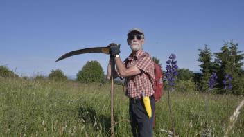 Manche Landschaftspfleger entfernen Lupinen mit der Sense. Foto: Angelika Resenhoeft/dpa