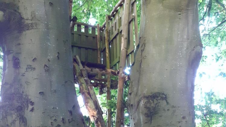 Der von den Kita-Kindern angelegte Schneckenwald samt selbstgebauter Leitern wurde von unbekannten Tätern zerstört