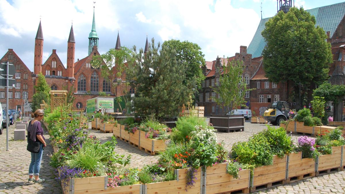 Kulturgarten Urban Gardening und PopUpAktionen in Lübeck