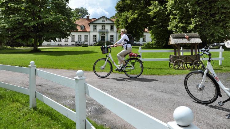 Der Haseldorfer Schlosspark ist ein Magnet für Besucher. In wenigen Wochen können sie ihn nur noch durch Zäune von außen betrachten. 