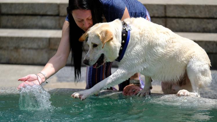 Citizens and their pets sought ways to cool down from the summer heat Citizens and their pets sought ways to cool down f