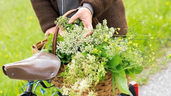 HANDOUT - Wildkräuter müssen nicht weit transportiert werden und brauchen keine Verpackungen. Auch enthalten sie in der Regel mehr Vitamine und Mineralstoffe als Kulturgemüse. Foto: Sandra Eckhardt/Becker Joest Verlag /dpa-tmn - ACHTUNG: Nur zur redaktionellen Verwendung im Zusammenhang mit dem genannten Text und nur bei vollständiger Nennung des vorstehenden Credits HANDOUT - Wildkräuter müssen nicht weit transportiert werden und brauchen keine Verpackungen. Auch enthalten sie in der Regel mehr Vitamine und Mineralstoffe als Kulturgemüse. Foto: Sandra Eckhardt/Becker Joest Verlag /dpa-tmn - ACHTUNG: Nur zur redaktionellen Verwendung im Zusammenhang mit dem genannten Text und nur bei vollständiger Nennung des vorstehenden Credits