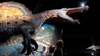 PRODUKTION - Eine Familie betrachtet ein lebensgroßes Modell eines Spinosaurus in der neuen Erlebnisausstellung «Saurier - Giganten der Meere». Foto: Hauke-Christian Dittrich/dpa