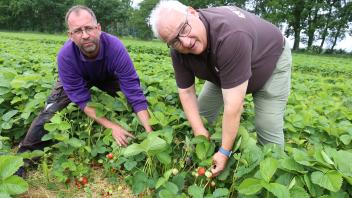 Bauer Alexander Gast (li.) und Bäckermeister Manfred Ickert prüfen auf einem Feld bei Waschow die Reife der Erdbeeren.