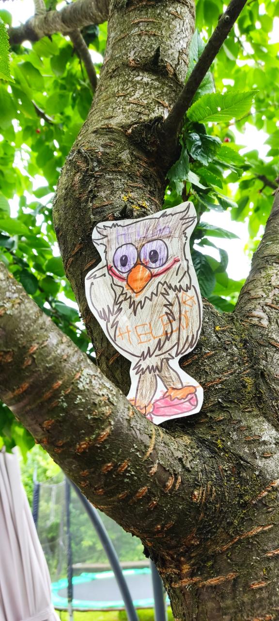 Ole genießt dank Helena (6) die Aussicht von einem Baum Ole genießt dank Helena (6) die Aussicht von einem Baum