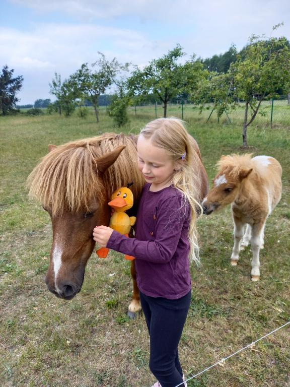 Carlotta (7) zeigt Paula mutig ihr Pferd. Carlotta (7) zeigt Paula mutig ihr Pferd.