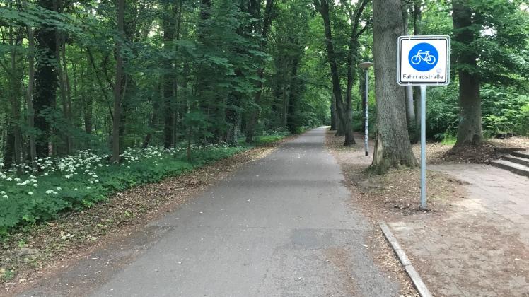 Anfang Juni wurden die Schilder für die neue Fahrradstraße in Rostock aufgestellt.