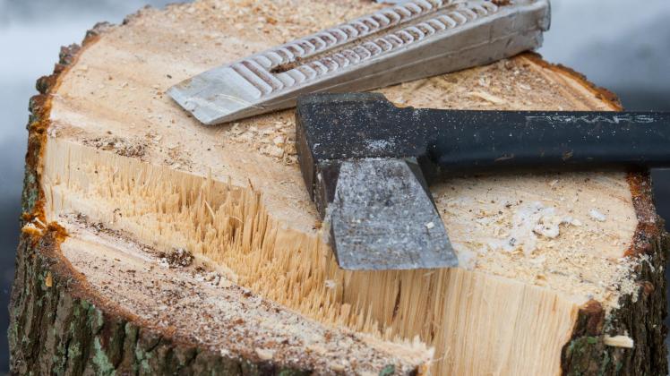 Zahl der Holzdiebstähle in Brandenburg sinkt