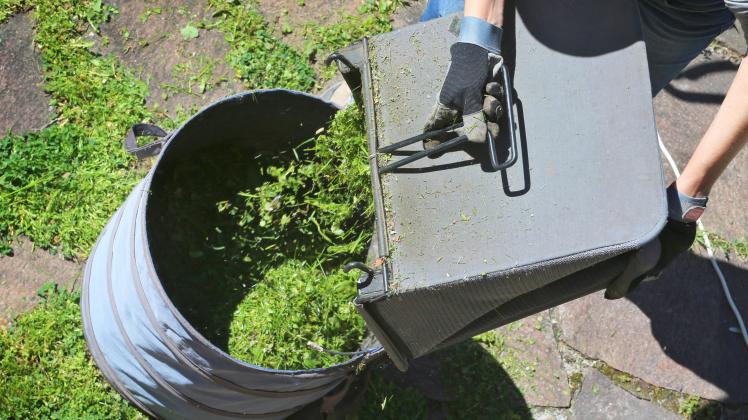 Nur wenig kompostieren: Rasenschnitt besser zum Mulchen nutzen