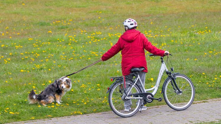 Frau mit Hund und Fahrrad - gesehen am 05.05.2022 in Cuxhaven am Deich *** Woman with dog and bicycle seen on 05 05 2022