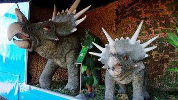 Die Ausstellungsstücke reichen vom kleinen Baby-Dinosaurier bis hin zu acht Meter hohen  und 28 Meter langen originalgetreu rekonstruierten Dinosaurier-Modellen.