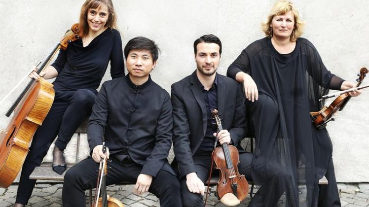 Die vier Musiker des Noah Quartett lernten sich während der Proben des NDR Elbphilharmonie Orchesters kennen. 