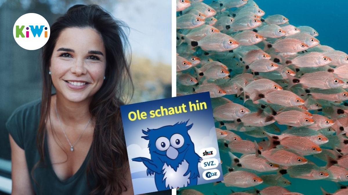 Können Fische pupsen? Moderatorin Annika Preil klärt auf | NOZ