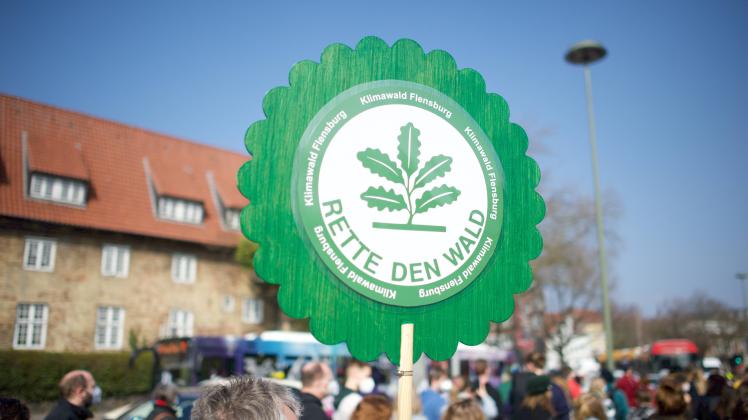 Flensburg, Schleswig-Holstein, Fridays for Future Demo Transparent mit Aufschrift Rette den Wald , hier: Friedrich-Eber