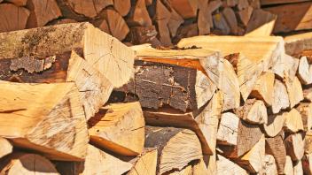 fuel-wood , 2818421.jpg, fuel-wood, fire-wood, tree, wood, forest, heating, energy, firewood, material, raw, natural, st
