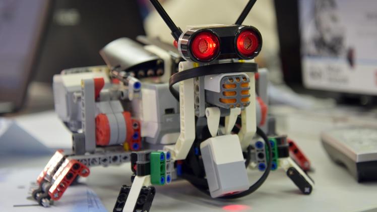 Dank smarter Programmierung werden aus den Spielzeug-Robotern ziemlich schlaue Kerlchen.