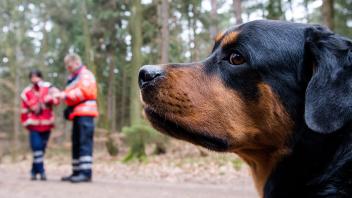 Prüfung zum Rettungshund
