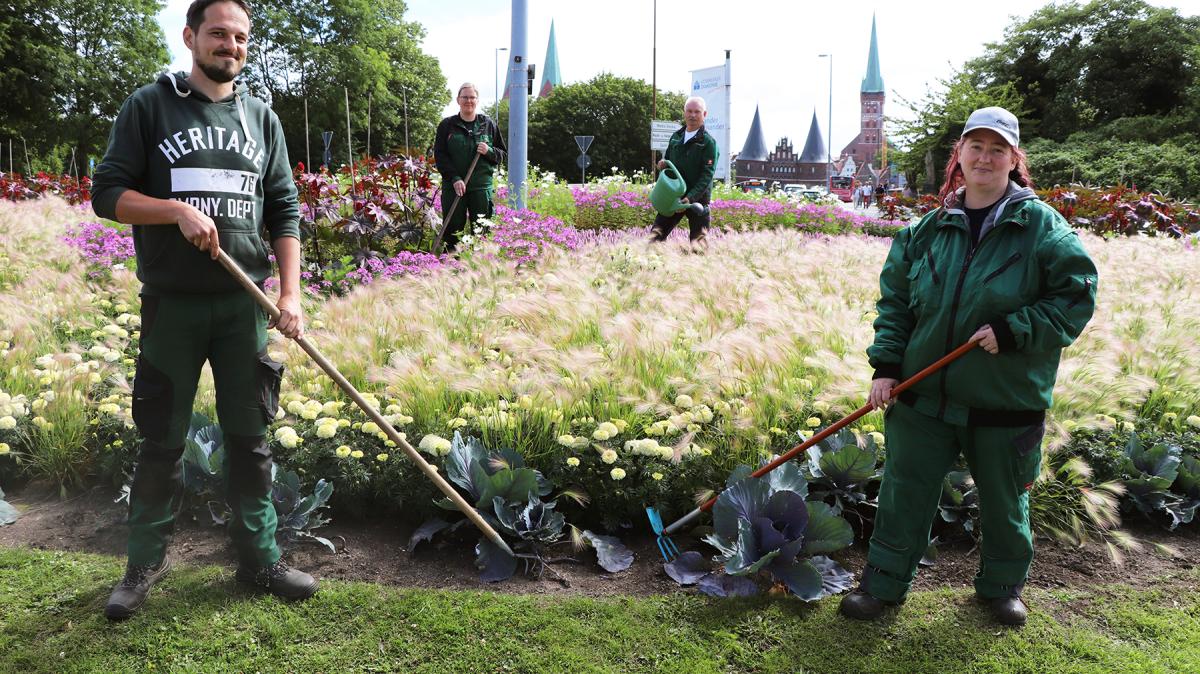 Gärtner pflegen 10.000 Blumen und Pflanzen bis zum Herbst SHZ