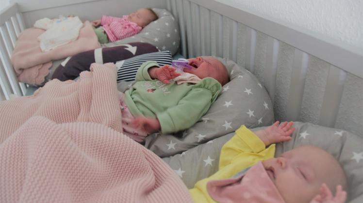 Mia (in Pink), Lotta (in Grün) und Nala (in Gelb) sind seit neun Wochen der Fixpunkt im Leben der Familie Kretschmann.