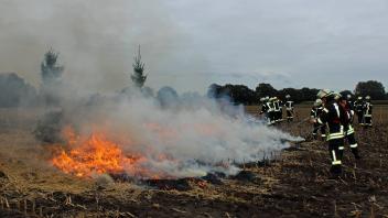 Kreisfeuerwehr Landkreis Emsland Brand Feuer Flächenbrand Gefahr