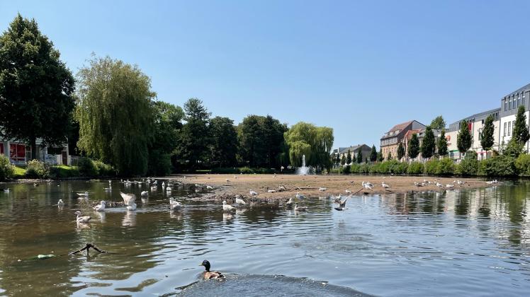 Warum der Teich in Neumünster fast trocken fiel