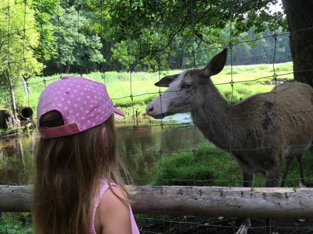 Wer schaut hier wen an? Auch Tiere sind neugierig auf ihr Gegenüber. Wer schaut hier wen an? Auch Tiere sind neugierig auf ihr Gegenüber.