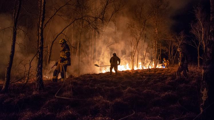Waldbrand in Todesfelde