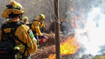 Große Waldbrandübung Am Samstag führte die Organisation @Fire in Remscheid eine Vegetationbrandübung durch. Die Stadt be