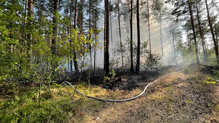 1000 Quadratmeter Wald brennen in Dellien im Amt Neuhaus