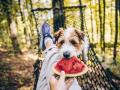 Woman feeding watermelon to dog in forest model released Symbolfoto property released OMIF00027