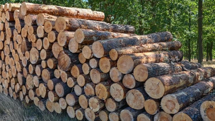 Nachfrage nach Brennholz steigt