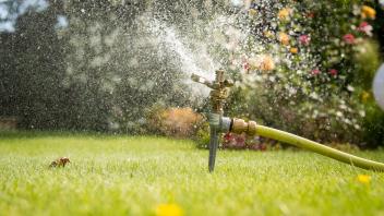 Ressourcen sparen: Seltener Wässern tut dem Rasen sogar gut