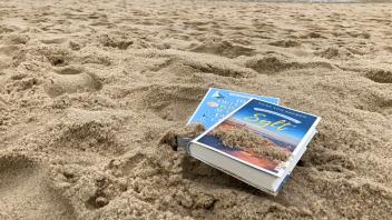 Ob Hitze oder Regentag, im Strandkorb oder auf dem Sofa: Diese Bücher bringen Sylt- und Urlaubsfeeling.
