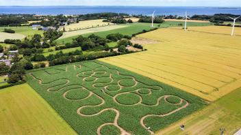 Ein Luftbild eines Maislabyrinths in Angeln